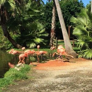 Meet your Posher, Vicki